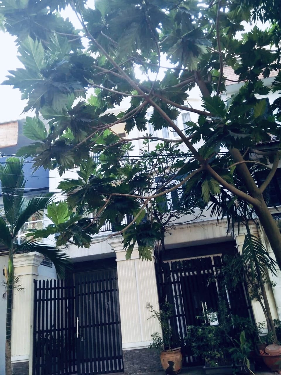 Exterior detail