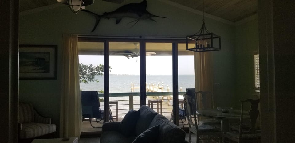 View from living room 