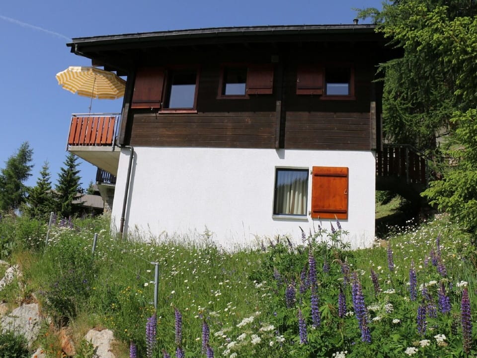 Flower, Plant, Property, Window, Sky, Building, House, Tree, Cottage, Grass