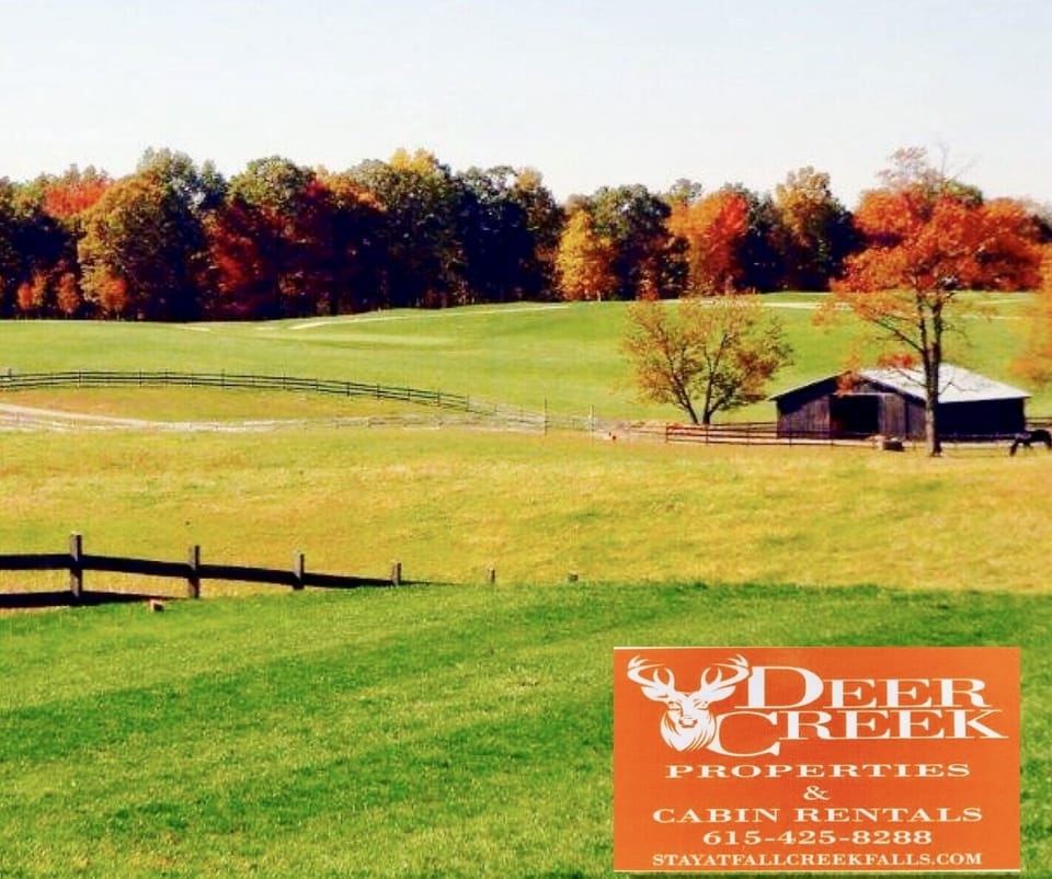Our beautiful pasture in the Fall.