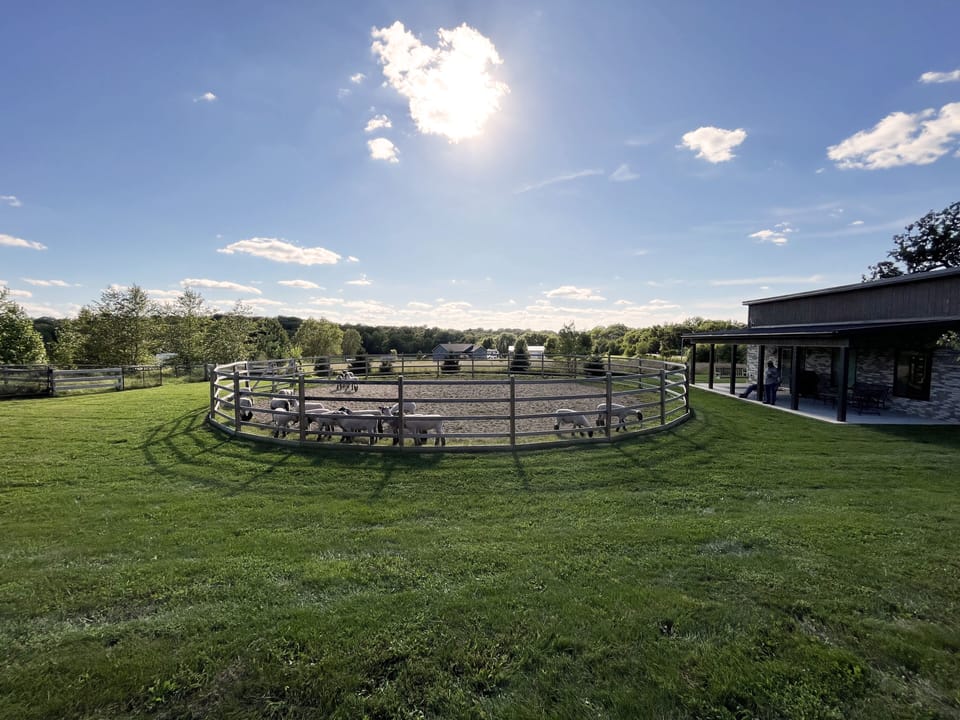 We often host four legged friends on the farm.  Please inquire as interested.
