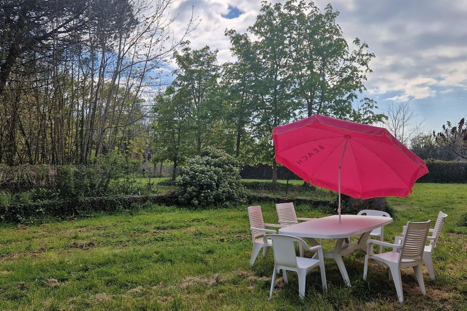 Garden [summer]