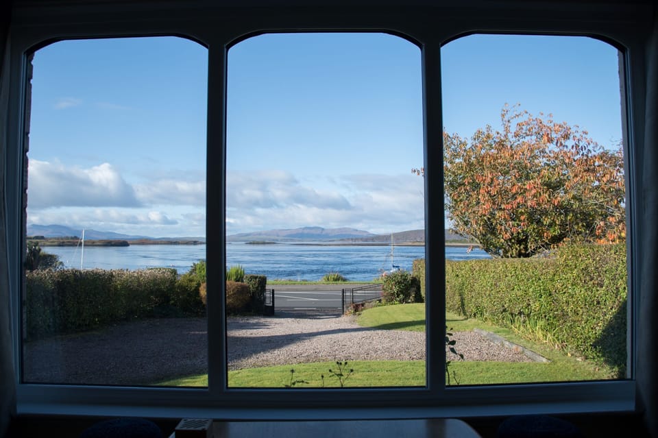 Livingroom window views