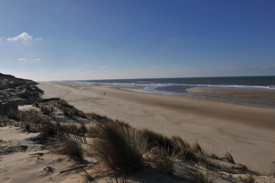 Beach view