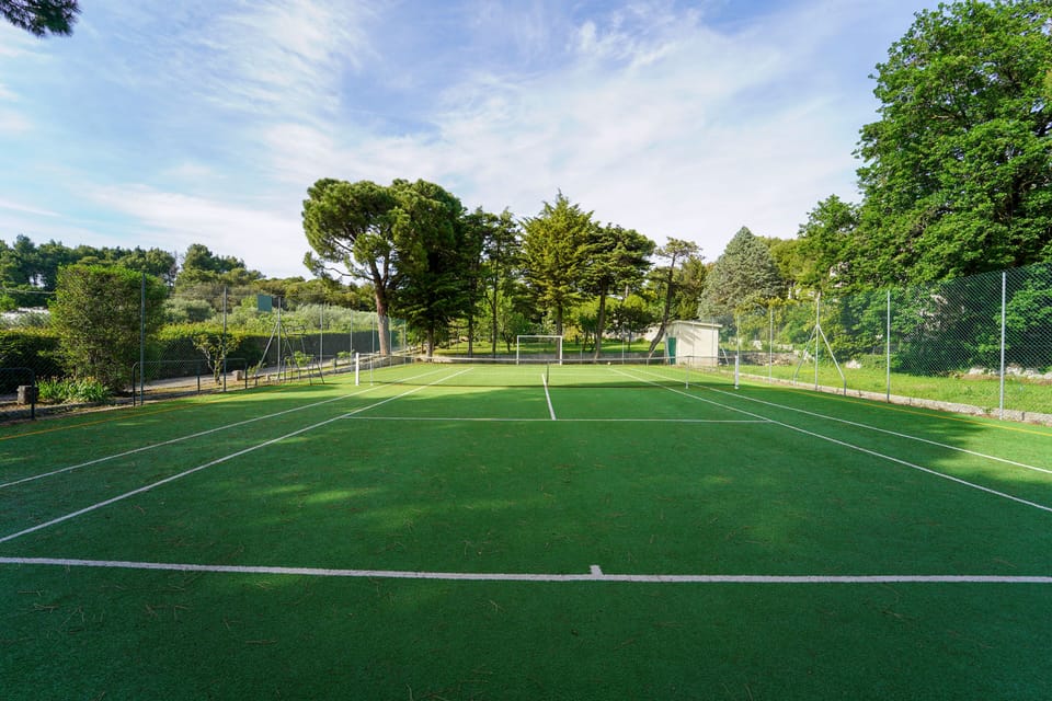 Sport court