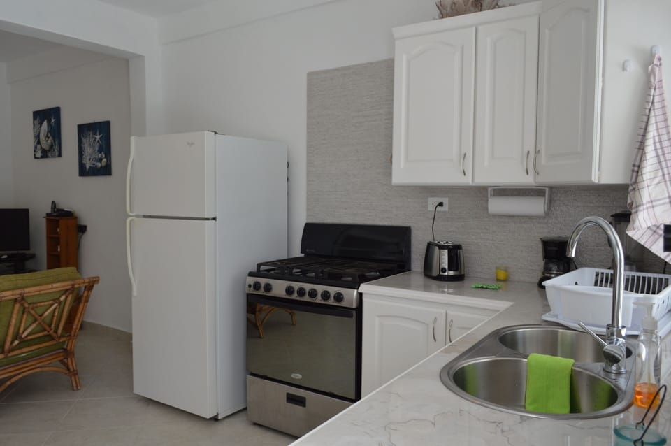 Royal Palms Apartment - Kitchen