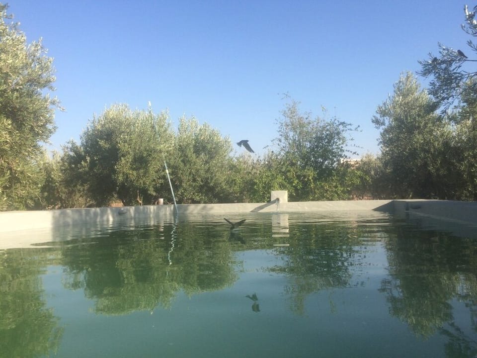 Lake