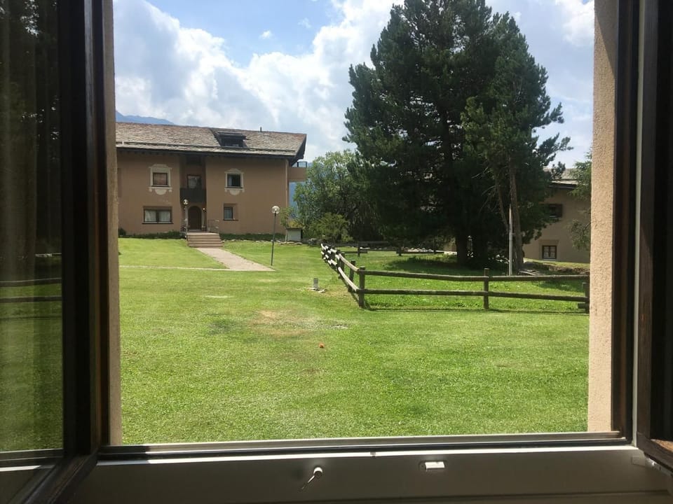 Picture 12