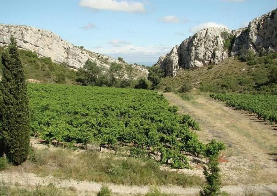 montagne La Clape