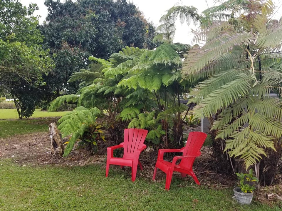 Front Yard