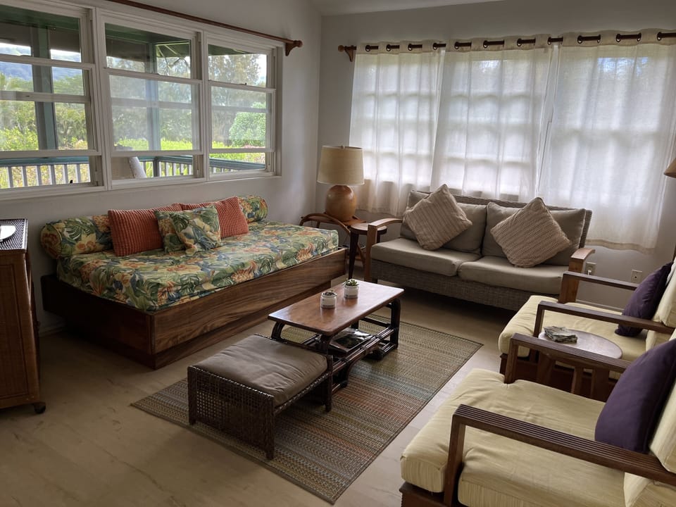 Living room with day bed that can be used as an additional bed