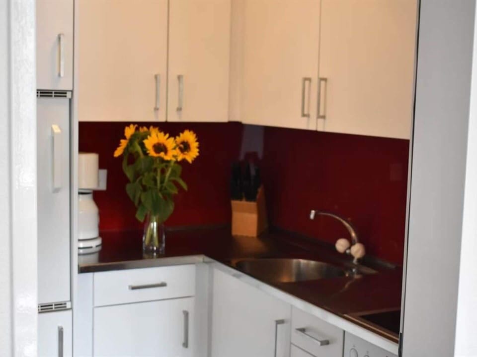 Flower, Cabinetry, Countertop, Plant, Property, Sink, Tap, Kitchen Sink, Wood, Kitchen