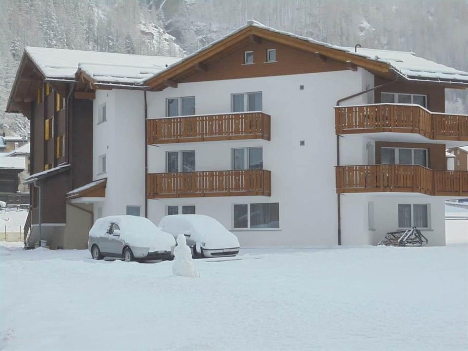 Snow, Building, Window, Freezing, House, Slope, Real Estate, Wood, Geological Phenomenon, Tree
