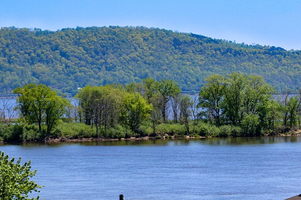 Summer view of Mississippi from house