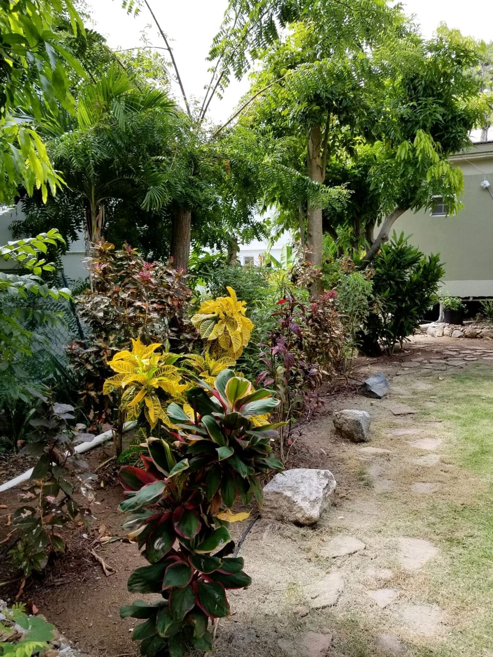 Backyard escape