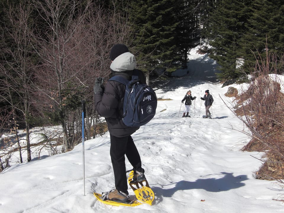 Snow and ski sports