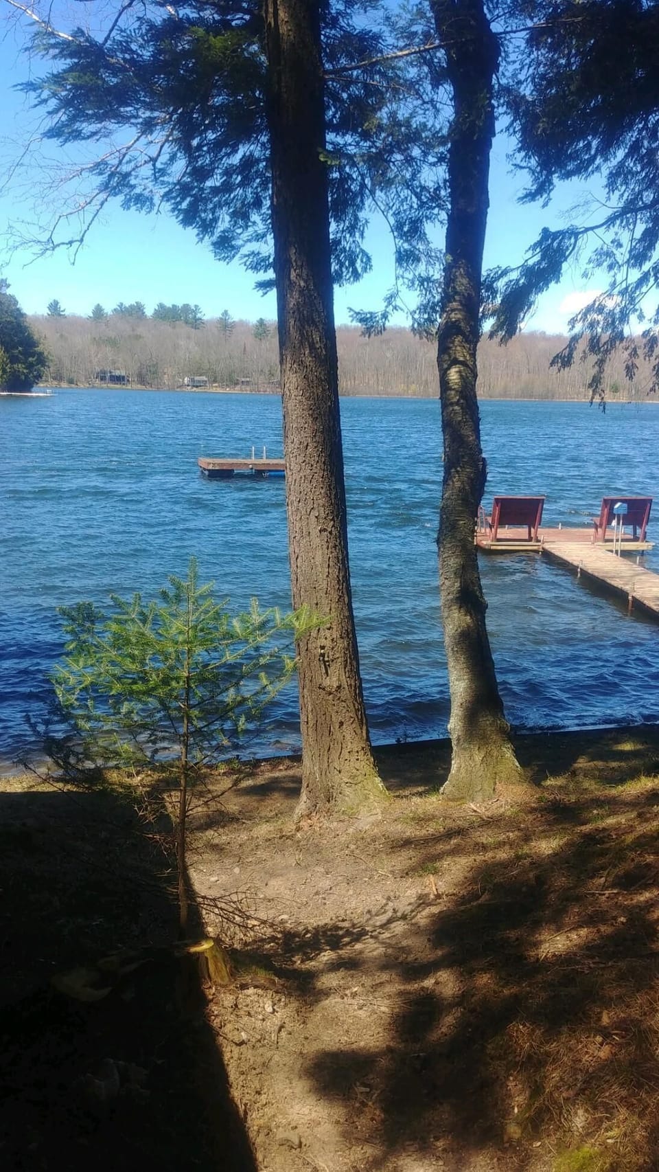 View of dock and swim raft
