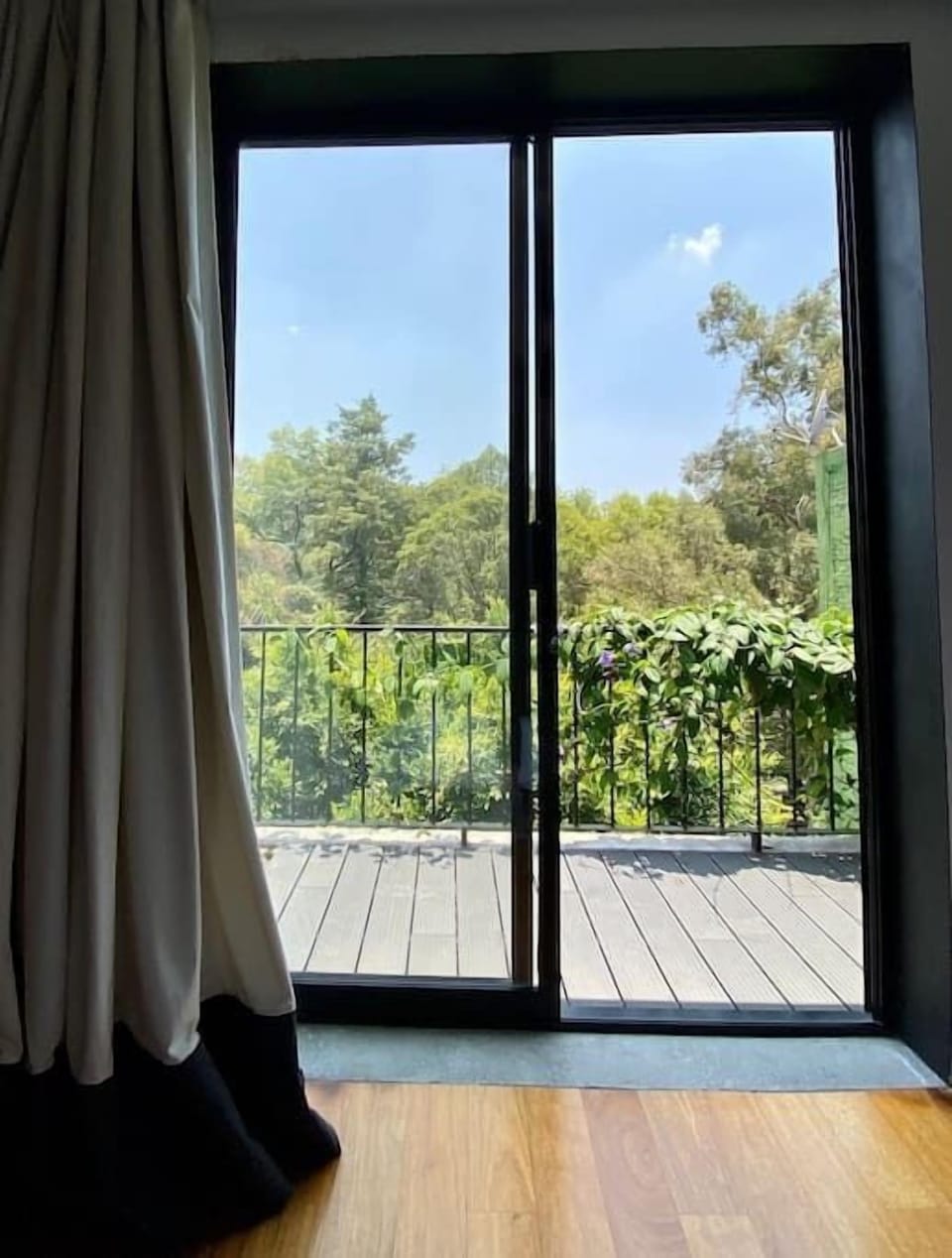 A rare sight in Mexico City: 180 degree view of tree tops, from bed, in master bedroom