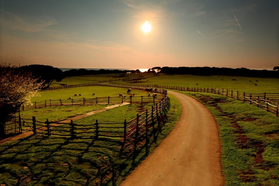 Region [summer] (>5 km)