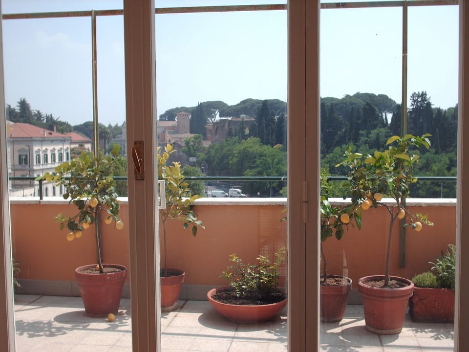 Lower Terrace