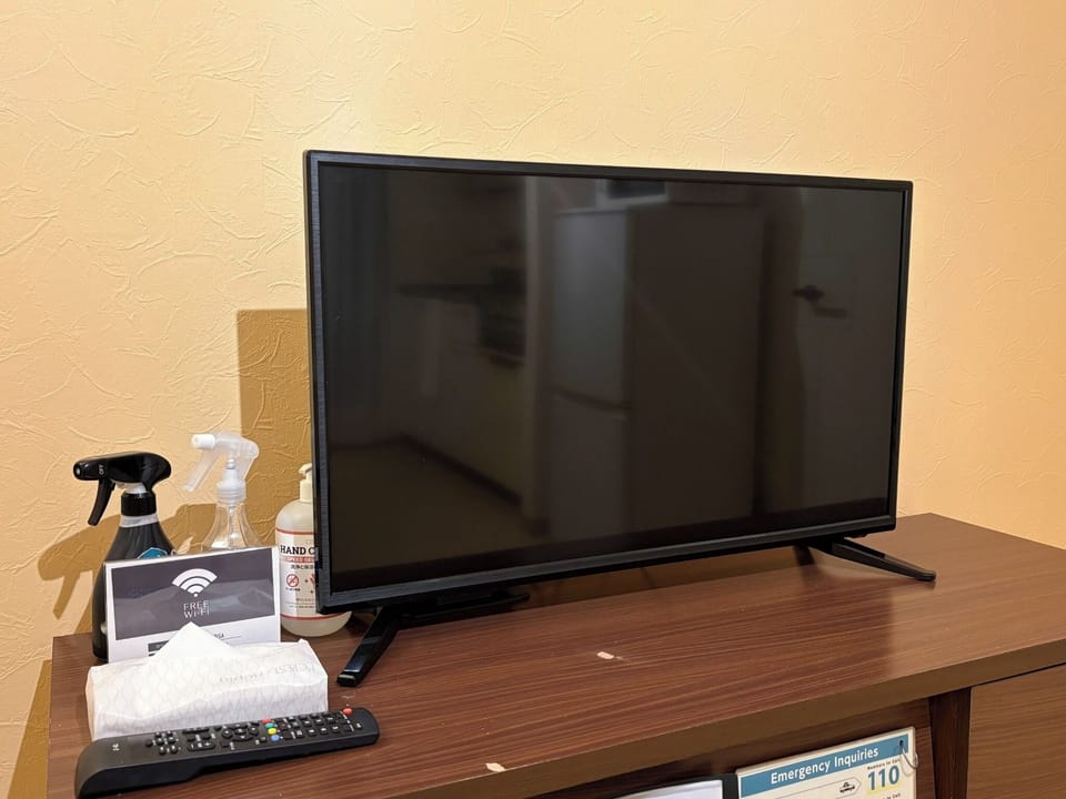 Television