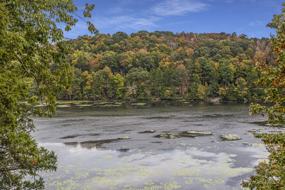View of the lake from the deck
