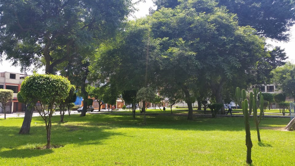 Property grounds