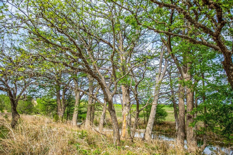 Private access to the Medina River is one of the many things that really sets the Hideaway apart!