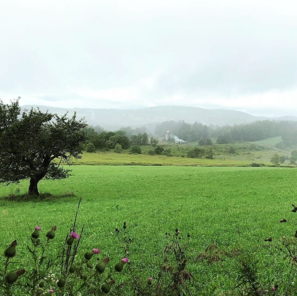 Neighbor's fields 