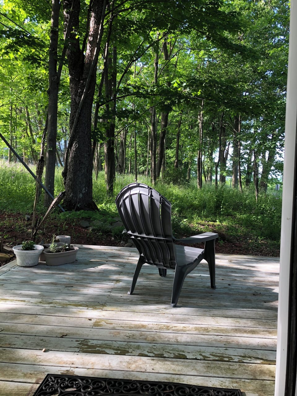 Backyard vibes 
