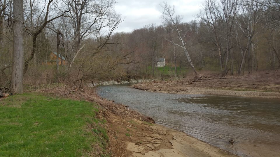 “Beachy” area down near the creek 