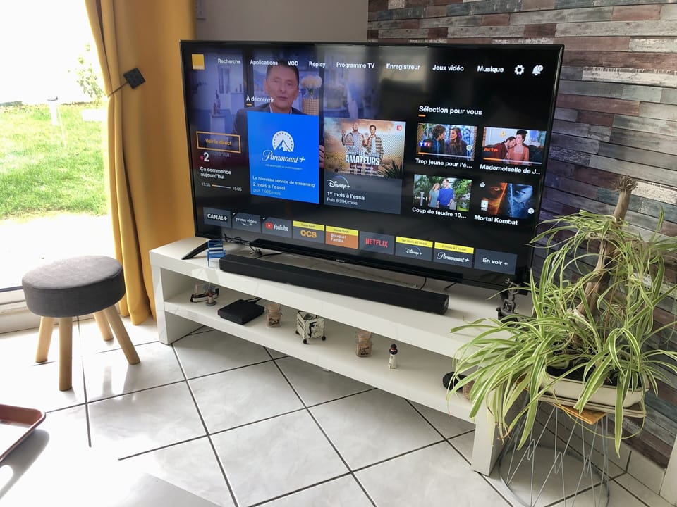 Television