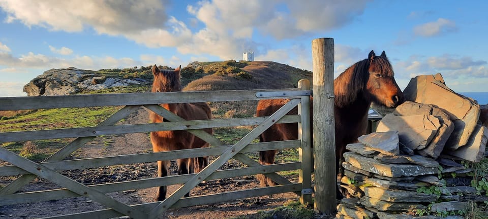 Boscastle coastal watch station in background