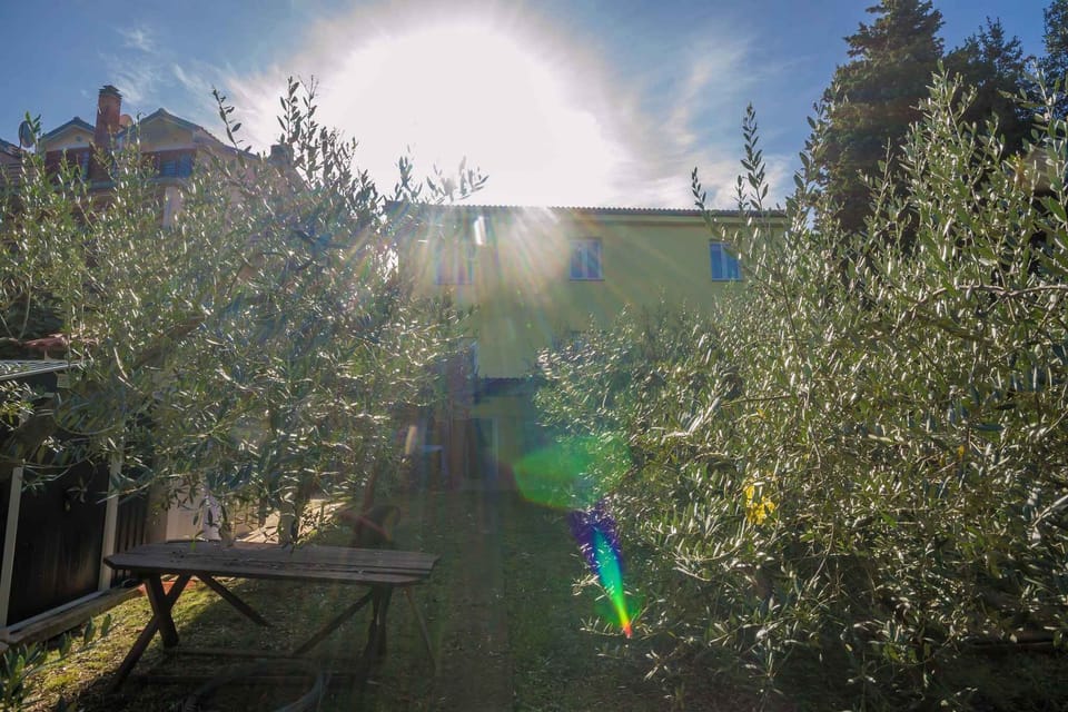 garden