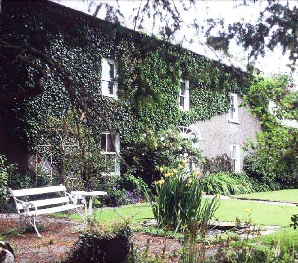 The visiting Deer in the Clothes Field.