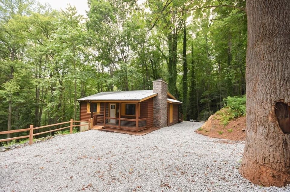 Cabin front view - Plenty of parking.
