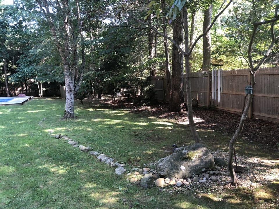 fenced yard