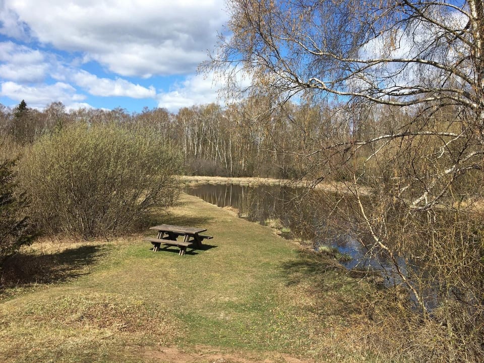 Water view
