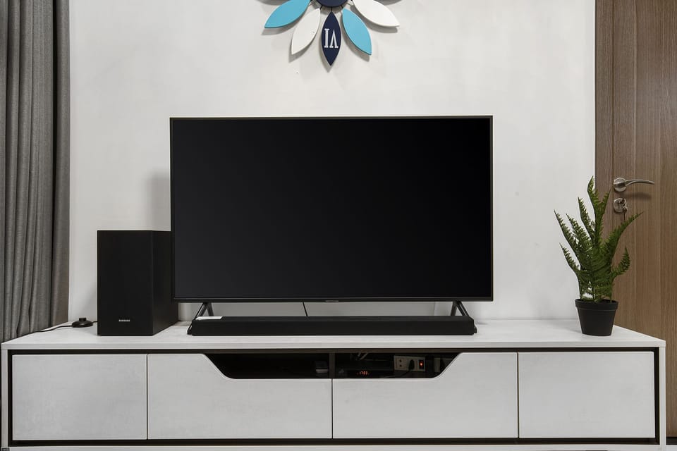 Television