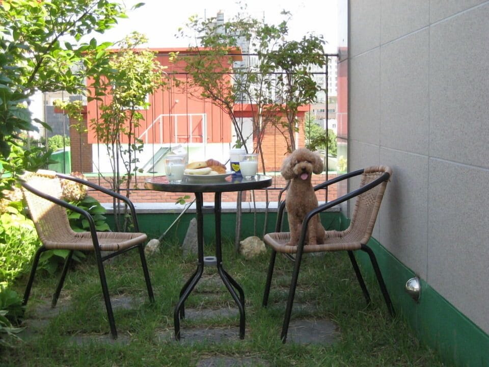 Budget/cute place in Hongdae&Yoennamdong