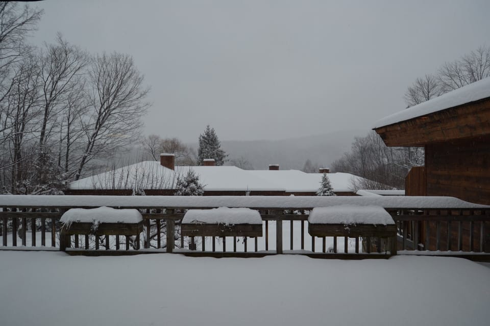 View in Winter
