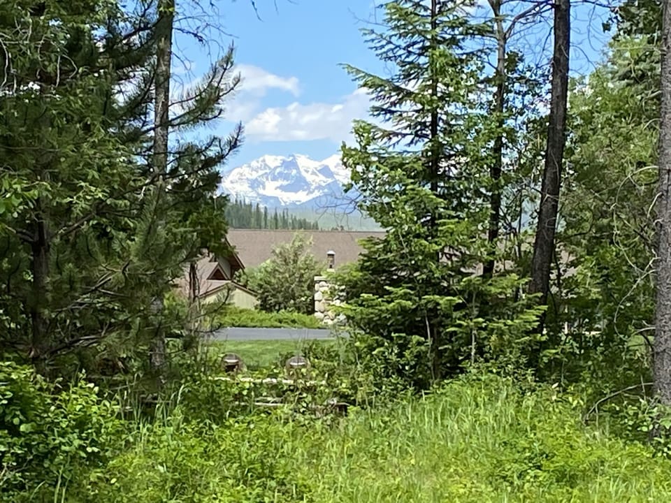 view of Stanton Mountain in the park through the property