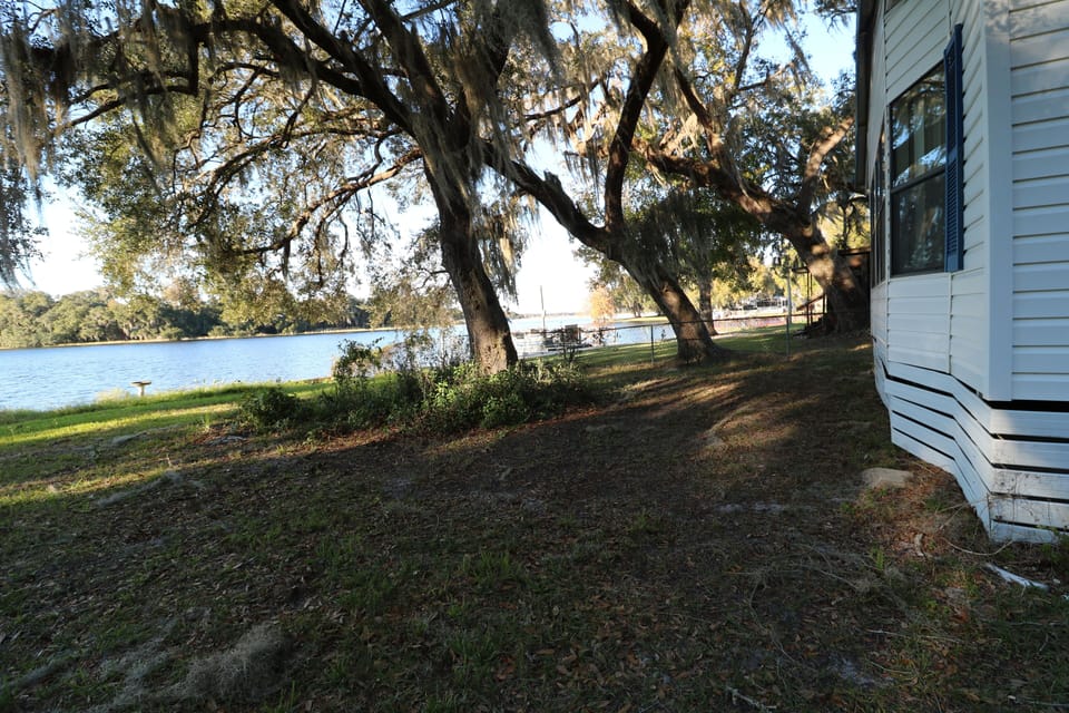 back yard