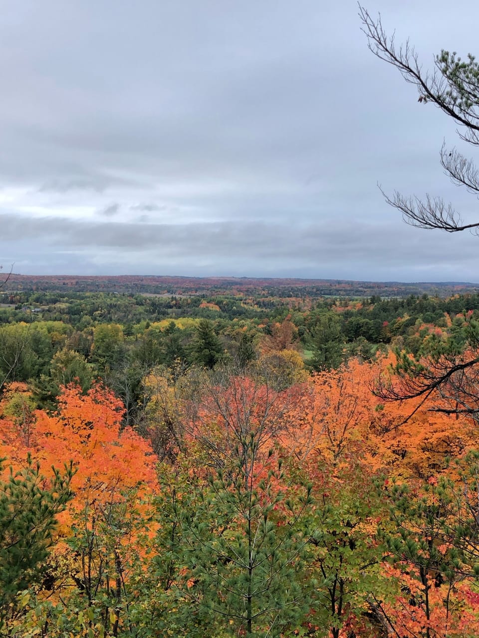 The view from one of our trails 
