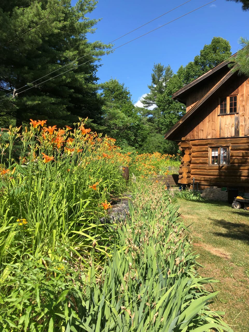 Pathway to cabin from behind our Log home