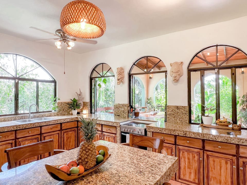 Jungle Palace Kitchen Windows