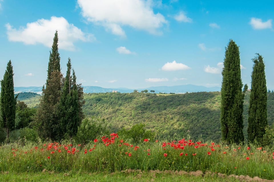 Garden, Scenic View