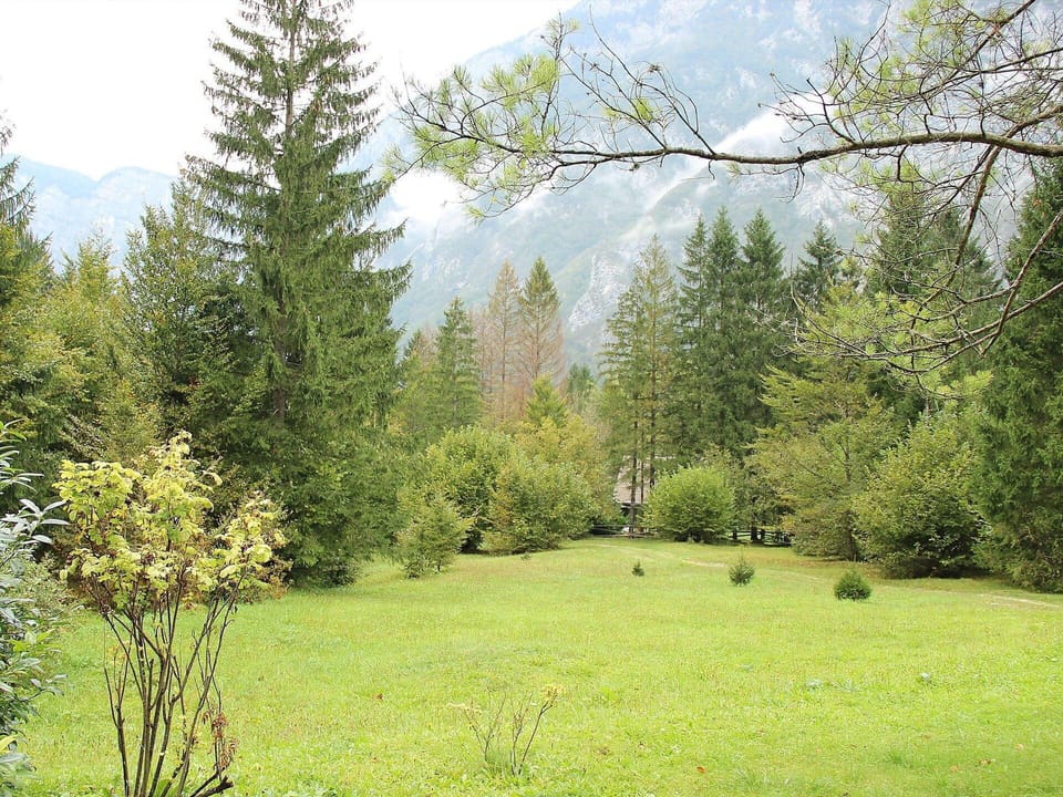 Tree, Natural Landscape, Nature, Natural Environment, Vegetation, Green, Nature Reserve, Forest, Biome, Land Lot