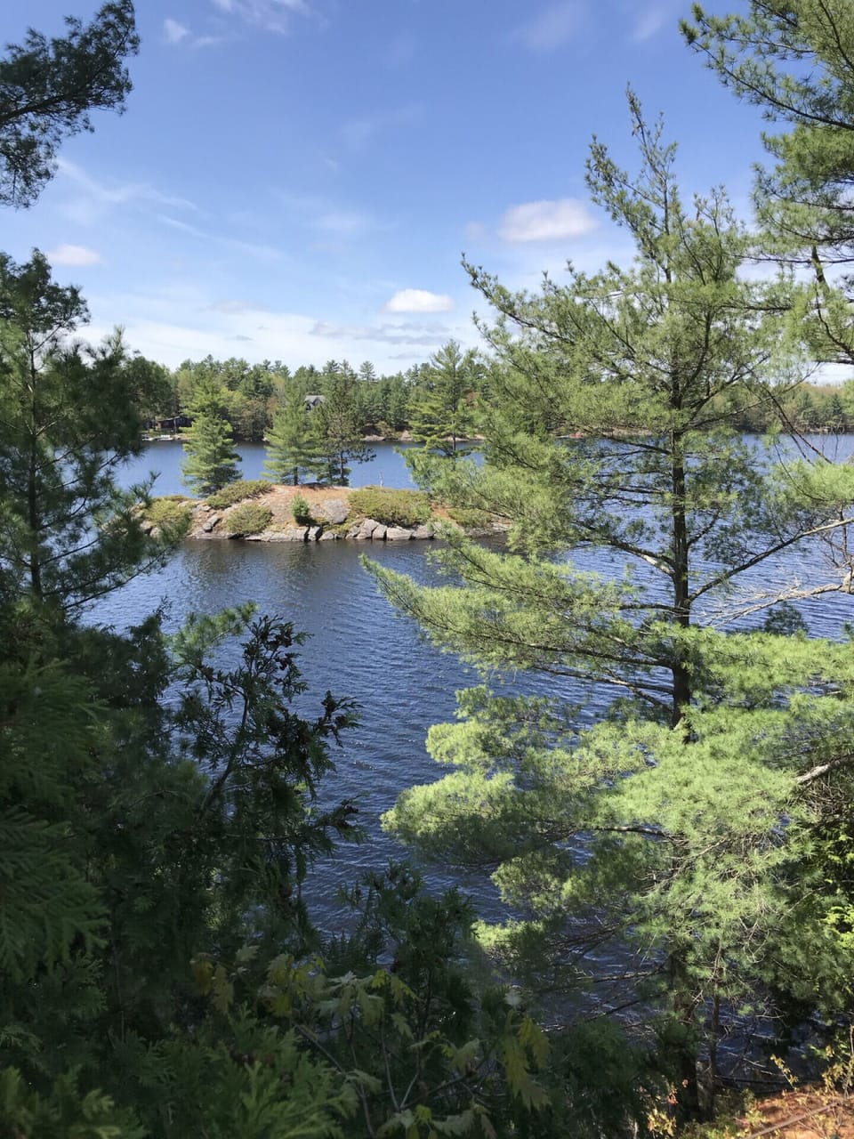 View from deck above.