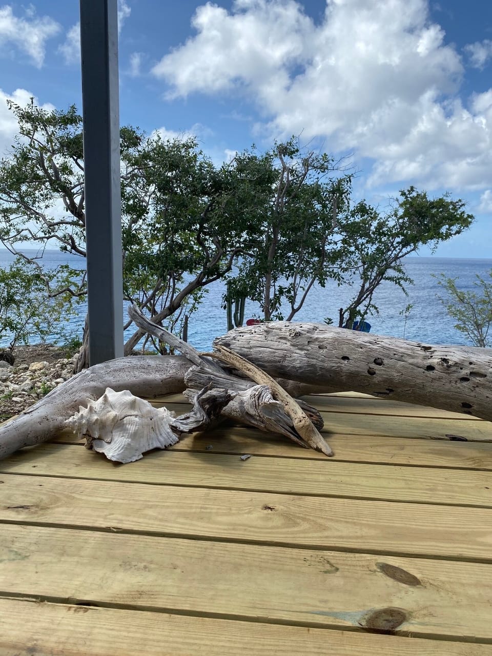 If you like to collect driftwood then Curacao's north coast is for you!